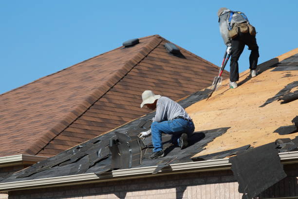 Best Roof Maintenance and Cleaning  in Spindale, NC